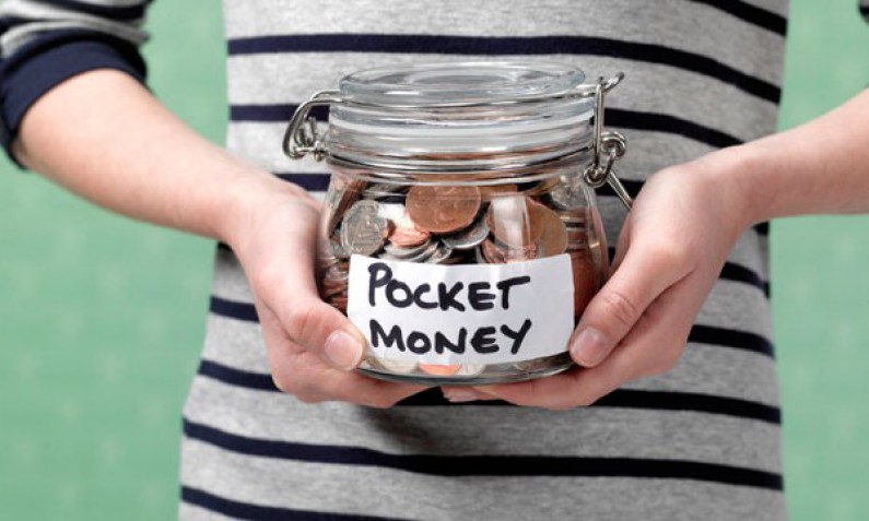 how do you spend your pocket money essay